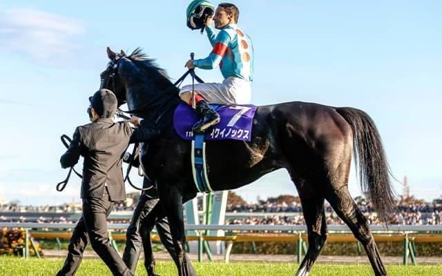ジャパンCの「勝ったら達成される記録一覧」 イクイノックスが勝てば記録ずくめに