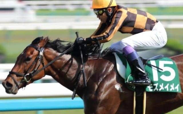 永島まなみ騎手が重賞初V目指す 京阪杯に快足牝馬と参戦