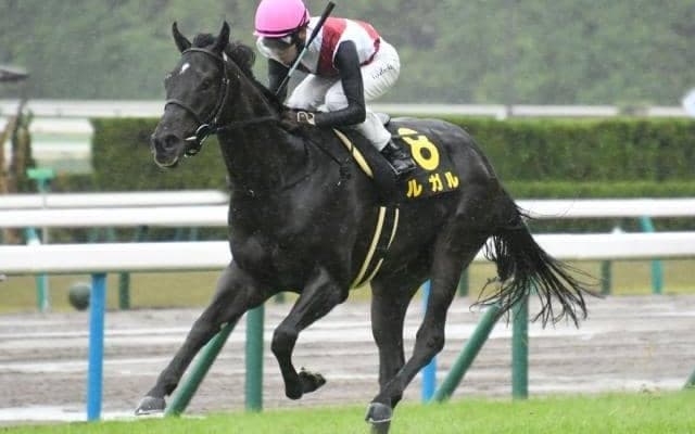 【京阪杯枠順確定】ルガルは5枠10番、トウシンマカオは8枠17番