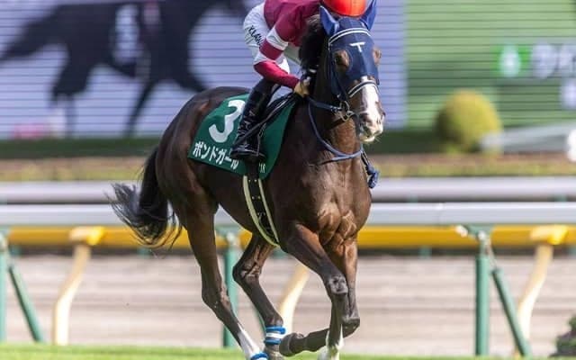 藤田晋氏所有の2億円馬ボンドガール 阪神JFの2週前追いでマーカンド騎手とコンタクト「力強い馬だ」