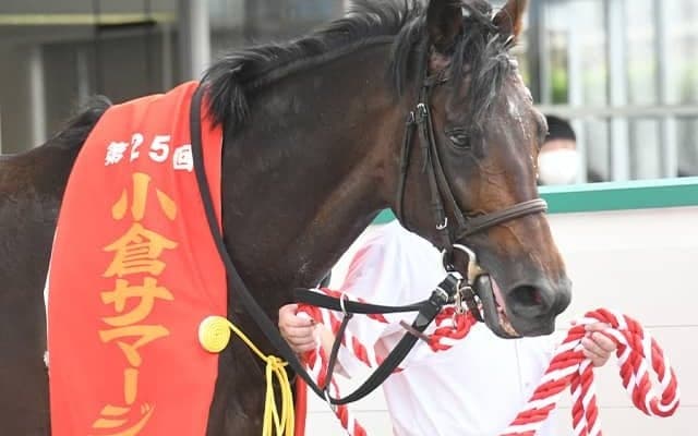 小倉SJ覇者テーオーソクラテスが登録抹消 今後は小倉競馬場で乗馬に