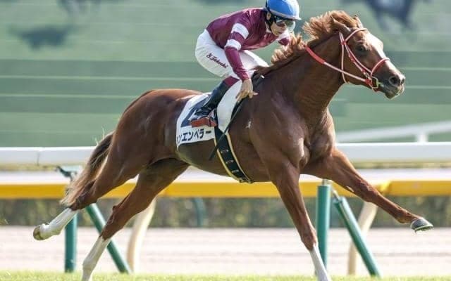 【京都2歳S予想】未完成な2歳戦ならでは!? 勝利を呼び込むためのローテーション傾向