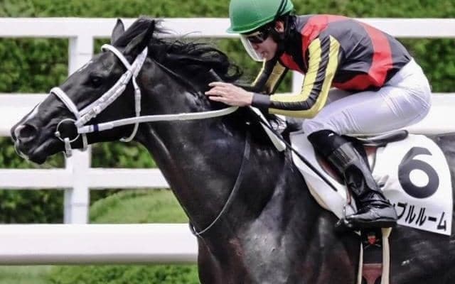 土曜は2場で良馬場 京都芝はパワーが生きる“ダート血統”を信頼