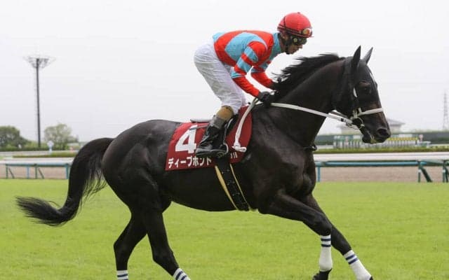 ジャパンＣで穴党記者が挙げた伏兵２頭　２強に勝つために...「先行馬を狙ってみるのも面白い」理由