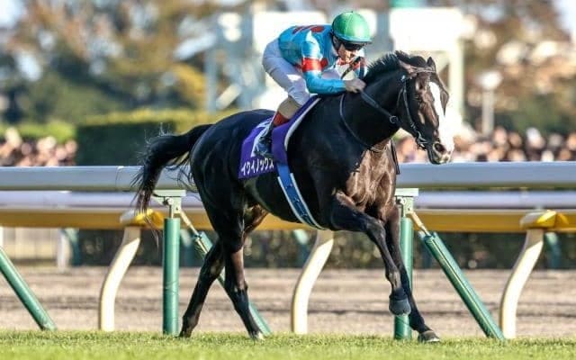 【ジャパンC予想】イクイノックスに黄色信号!? 基準値を満たしていない歴史的事実