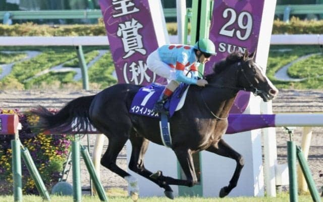 【ジャパンカップ】イクイノックス、リバティアイランドが1枠で並ぶ