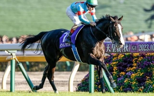 【AI予想・ジャパンC】世紀の対決に沸く最強馬決定戦！ 人工知能は世界ナンバーワンホースに太鼓判