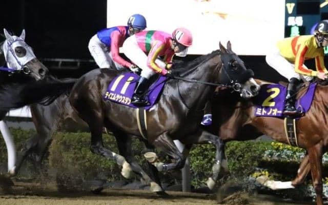 ダート重賞5勝馬テイエムサウスダンが抹消 今後は佐賀競馬に移籍