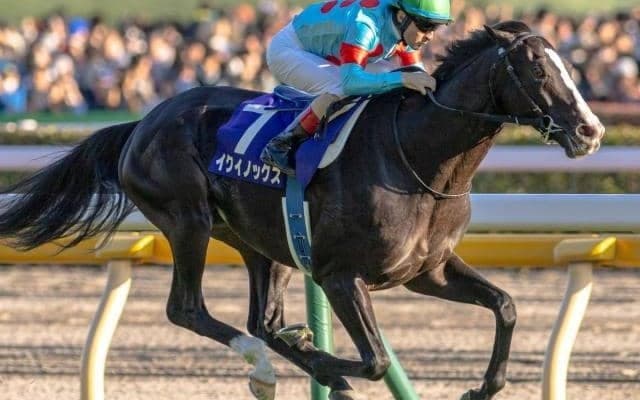 粗品氏「負ける要素が一つもない」とジャパンCで大勝負宣言？