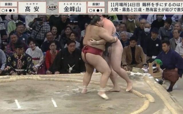 「どうした？」元若乃花、土俵上で力無く敗れた力士に苦言「こういう取組は解説が難しい」