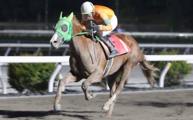 【高知・土佐寒蘭特別】ワンウォリアーが連勝…岡村「長距離が向くと感じた」