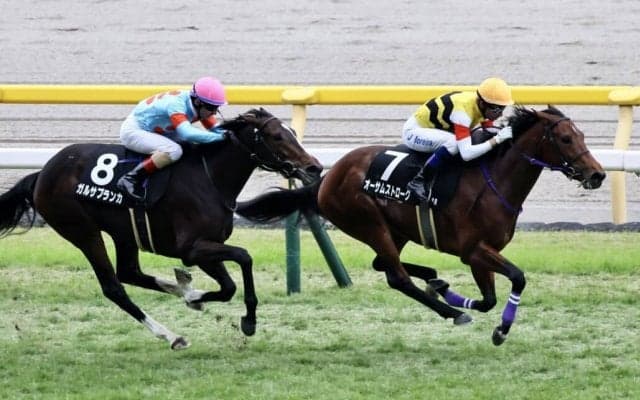 【ベゴニア賞】オーサムストロークが連勝…イクイノックス半妹は2着