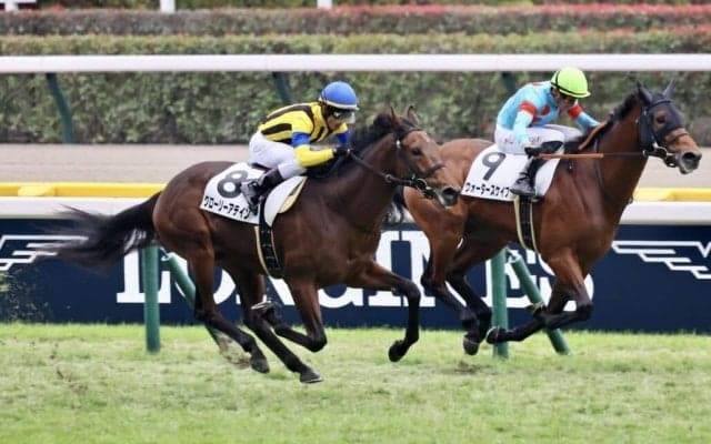 【新馬/東京6R】ヴィクトワールピサ産駒 グローリーアテインがデビューV