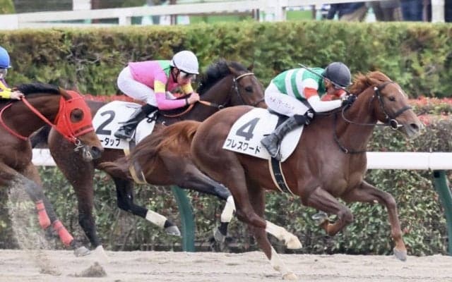 【新馬/東京5R】マーカンド騎乗、ブレスワードが鮮やかに差し切る