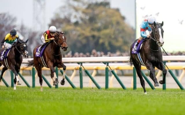 粗品氏113万円ゲット「競馬ちょろいわ」 ジャパンCで3連単的中