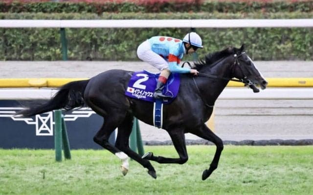 【ジャパンカップ】世界最強イクイノックスのジョッキーカメラが公開…ルメール騎手スタートで驚く