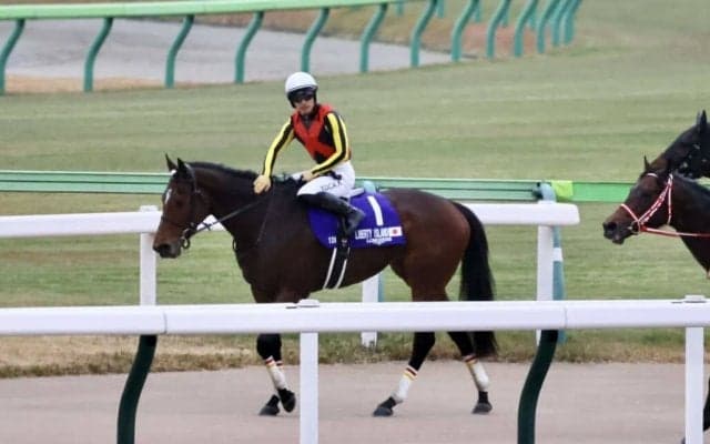 【ジャパンカップ】川田「全力で挑ませていただきました」レース後ジョッキーコメント