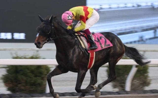 【高知競馬】倉兼育康調教師が初勝利…「チャンスだと思っていた」