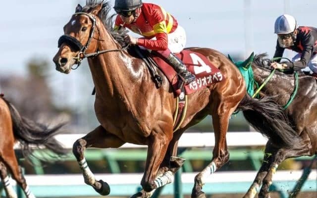 【チャレンジC見どころ】ベラジオオペラがダービー4着以来の復帰戦 重賞2勝目なるか