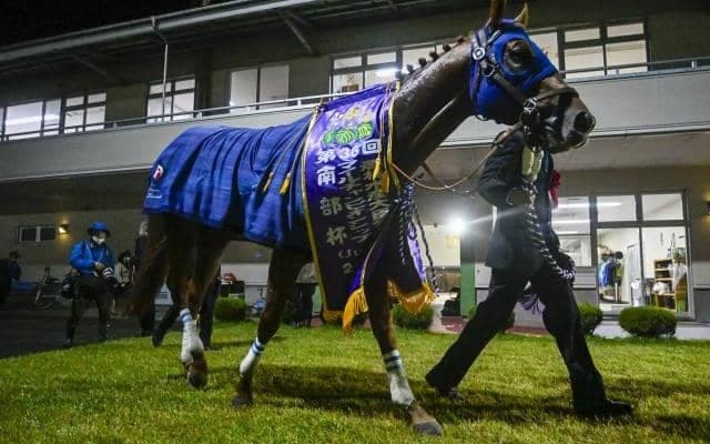 【チャンピオンズC見どころ】レモンポップが一周1800mに初挑戦 ダートGI連覇なるか