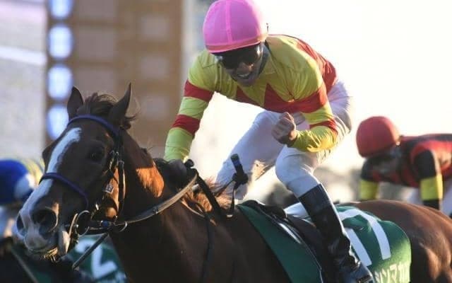 【京阪杯】売上は56億9736万6500円で昨年より約8億円増加