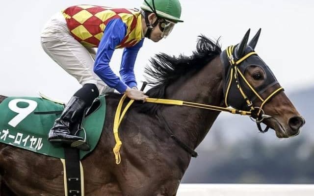 ステイヤーズS想定騎手17頭 テーオーロイヤルは浜中俊騎手、マイネルウィルトスは横山武史騎手など