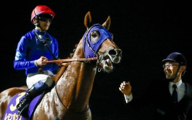 チャンピオンズC想定騎手19頭 レモンポップは坂井瑠星騎手、セラフィックコールはM.デムーロ騎手など
