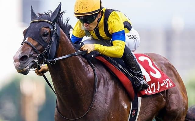 香港国際競走の馬券発売が決定 日本からは4競走に14頭が出走予定