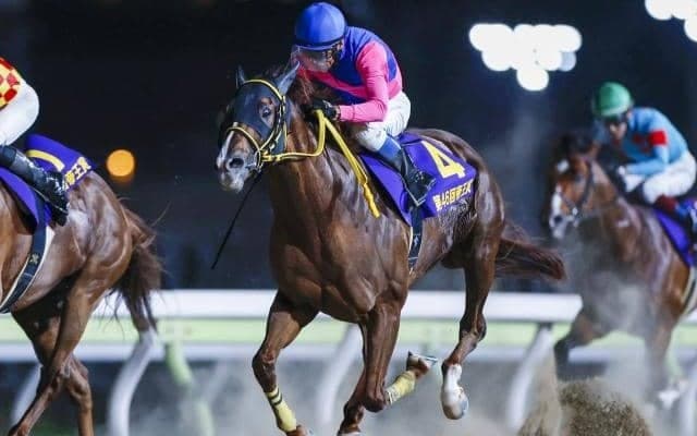 【AI予想・チャンピオンズC】ダート中距離王決定戦は確かな実績が必要不可欠な一戦!? 波乱を予感させる本命候補3頭