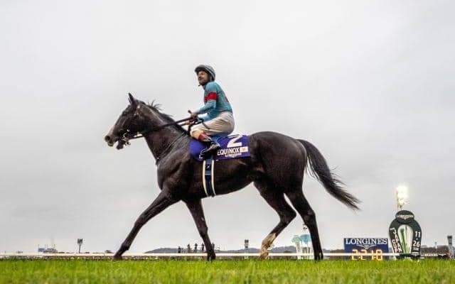 「失敗種牡馬」から評価一変 世界最強馬にも受け継がれるジャッジアンジェルーチの血