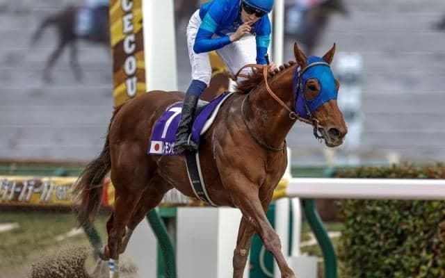 【チャンピオンズC予想オッズ】レモンポップが予想1番人気