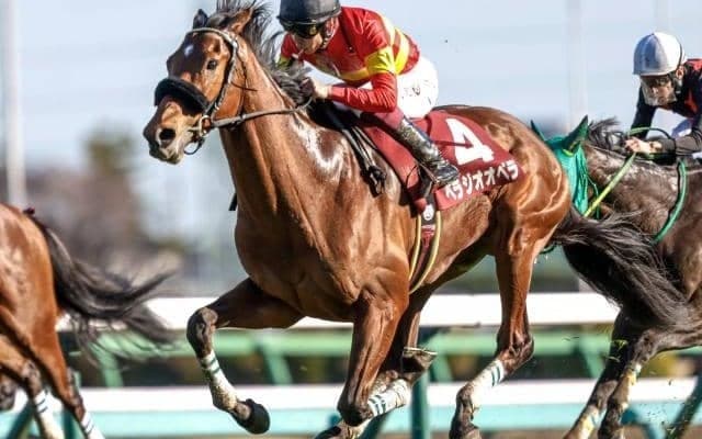 【チャレンジC展望】若い挑戦者が通用しやすい傾向、久々でもベラジオオペラに期待