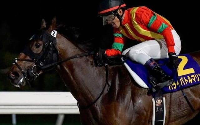 【クイーン賞注目馬】3歳勢vs昨年覇者 ハンデ差が勝敗を分ける牝馬の交流重賞