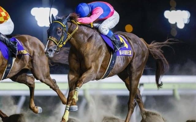 【チャンピオンズC展望】ダートの頂上決戦、より長い距離の実績に注目