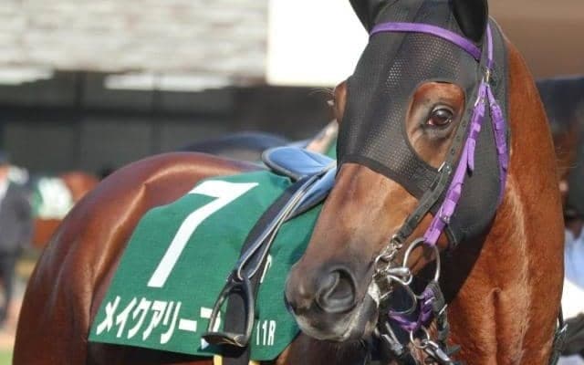 栗東屈指の大穴厩舎がチャンピオンズC参戦 みやこS2着馬を侮るな