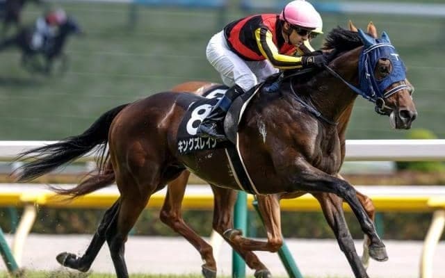 【ステイヤーズS出走馬・騎手確定】キングズレイン＆W.ビュイック騎手、テーオーロイヤル＆浜中俊騎手など16頭