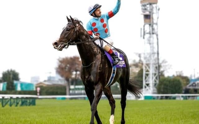 イクイノックスは種牡馬で大成功の可能性大 根拠は「サンデーのひ孫」