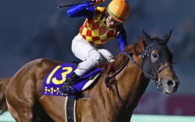GI級3勝の実績馬テーオーケインズ チャンピオンズC隔年V狙う