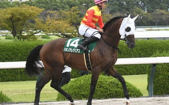 各国のダービー馬が名を連ねる チャンピオンズC参戦ハギノアレグリアスの血統表は一見の価値あり