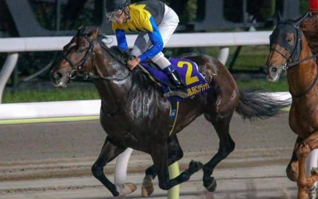 鬼門を新パートナーと克服!? 昨年のJDD覇者がチャンピオンズCで2つ目のビッグタイトル