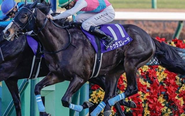 ダートの連対率100％ “二刀流”トップホースがチャンピオンズCで高配提供なるか