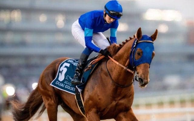 【チャンピオンズC】出走馬の調教後の馬体重