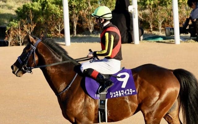 シュネルマイスターが競走馬登録抹消