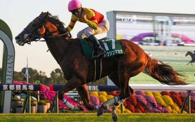 【京阪杯】トウシンマカオが連覇達成