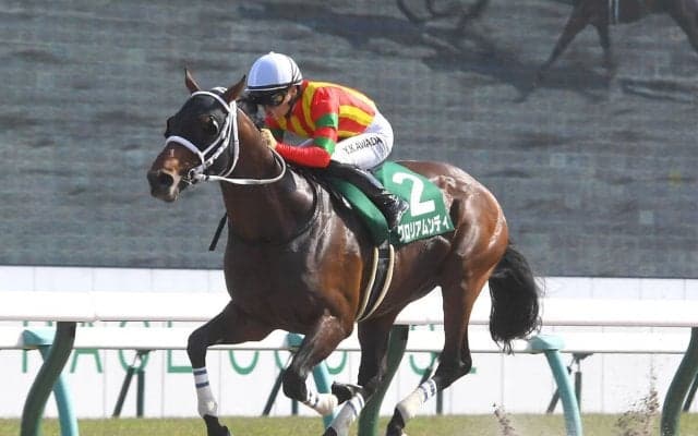 チャンピオンズＣに強いキングカメハメハ産駒は今回も信用できる？　レースを血統で分析