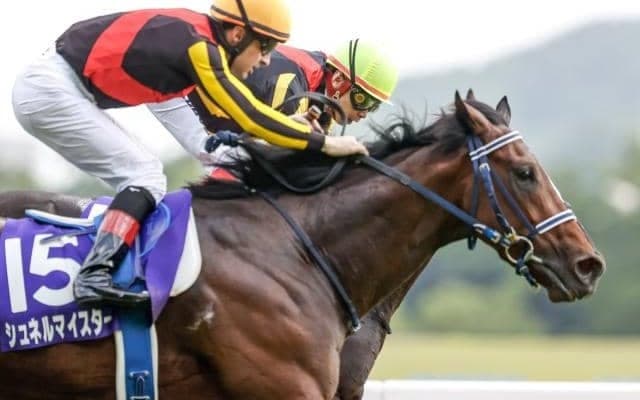 GI馬シュネルマイスターが抹消 21年NHKマイルCなど重賞3勝