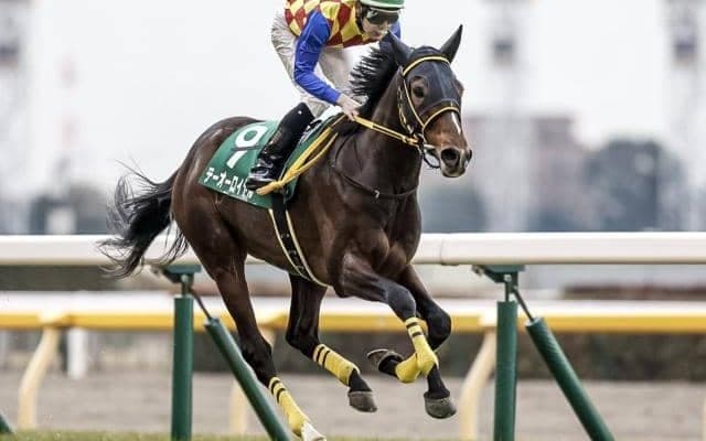 【ステイヤーズS枠順確定】キングズレインは1枠1番、テーオーロイヤルは6枠11番