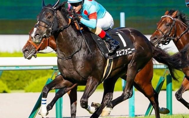 今週もシルク＆C.ルメール騎手が主役か チャレンジCは良血馬の重賞初Vに期待