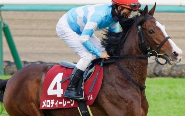 “小さなアイドル”メロディーレーン 14度目の重賞挑戦でタイトル獲得なるか