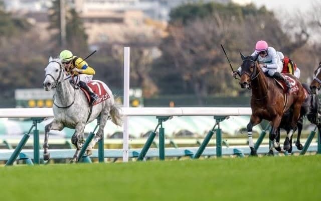 ステイヤーズSを超える距離のレースがあった!? コース図に残る「中山芝4000m(外)」のナゾ